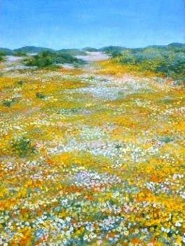 "Namaqualand, Flowers Uphill"