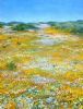 "Namaqualand, Flowers Uphill"