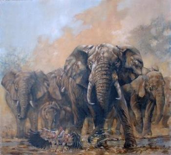 "Elephants"