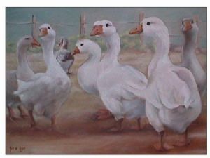 "Geese"