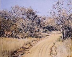 "Kudu Bushveld Retreat, NP"