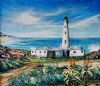 "Seal Point Lighthouse at Cape St Francis, SA"