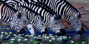 "Zebra at Waterhole"