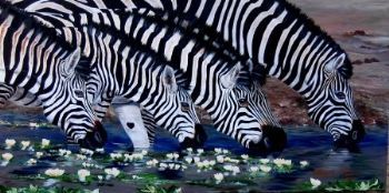 "Zebra at Waterhole"