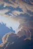 "Bluegum Sky"