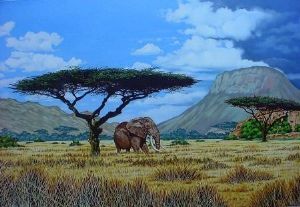 "African Landscape"