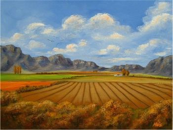 "MaisFranschoek"