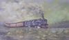 "Steam Train in the Karoo"