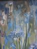 "Spirit of Agapanthus"