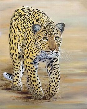 "Leopard on the Prowl"