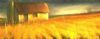 "Country Cottage"