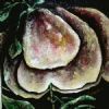 "Oriental bloom 1"