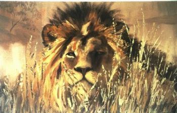 "Lion in Wait"