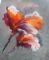 Blooming Marvellous