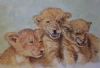 "Three Lion Cubs"