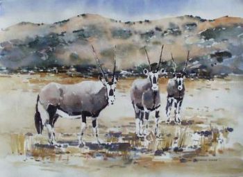 "Gemsbok"