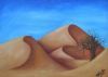 "Kalahari Dunes"