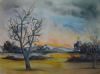 "Marsh Landscape"