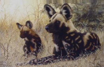 "Wild Dogs 2"