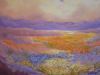 "Namaqualand 111"