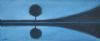 "Single Tree Reflection 1"