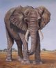 "Elephant Walk"