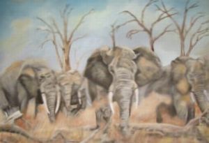 "African Elephants"