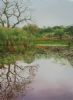 "Kirstenbosch Reflections"