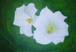 "Tropical Flowers"