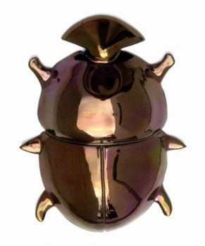 "Addo Flightless Dung Beetle"