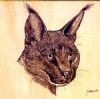 "Wood Burning, Caracal"