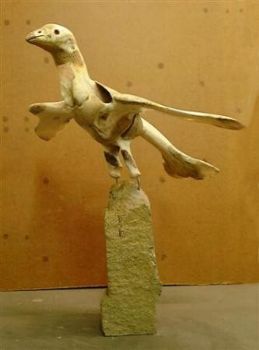 "Backbone Bird"