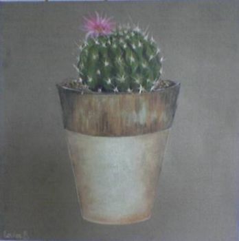 "Cacti 1"