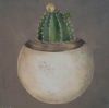 "Cacti 3"