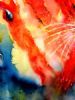 "Abstract - Butterfly Fish"