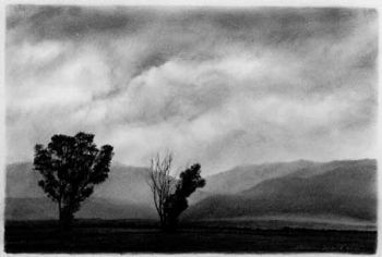 "Trees and Mist"