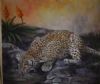 "Leopard on the Rocks"