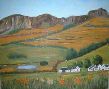 "Stellenbosch farm"