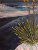 "Blue desert"