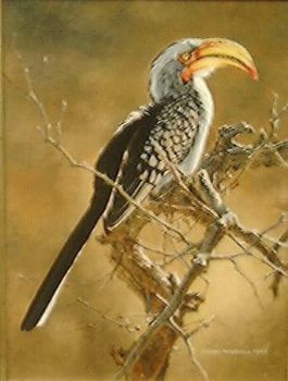 "Hornbill"