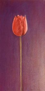"Pink Tulip (canvas 1 of 3)"