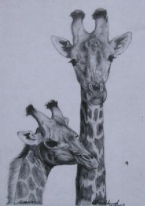 "Giraffe Heads"