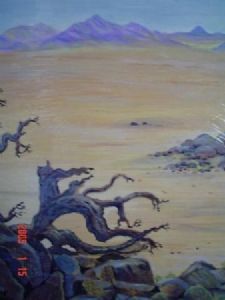 "Sossusvlei Namibia"