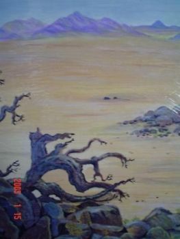"Sossusvlei Namibia"