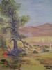"Sossusvlei Namibia"