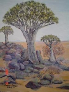 "Kokerboomwoud Namibia"