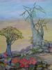 "Damaraland Plants"