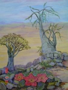"Damaraland Plants"