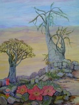 "Damaraland Plants"