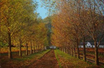 "Avenue of Trees, La Motte, Franschhoek"